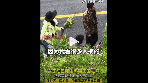 佰亿配资 保护区回应女子摘野花被劝阻 自然保护区野花是禁止采摘的