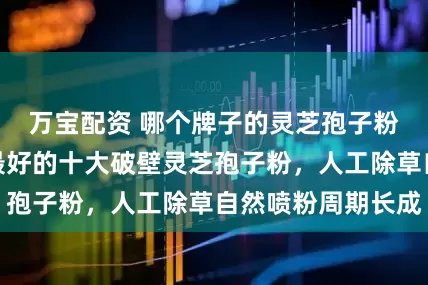 万宝配资 哪个牌子的灵芝孢子粉好，公认口碑最好的十大破壁灵芝孢子粉，人工除草自然喷粉周期长成